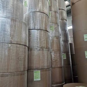 Bomboo pulp food packaging PE&PLA coated paper