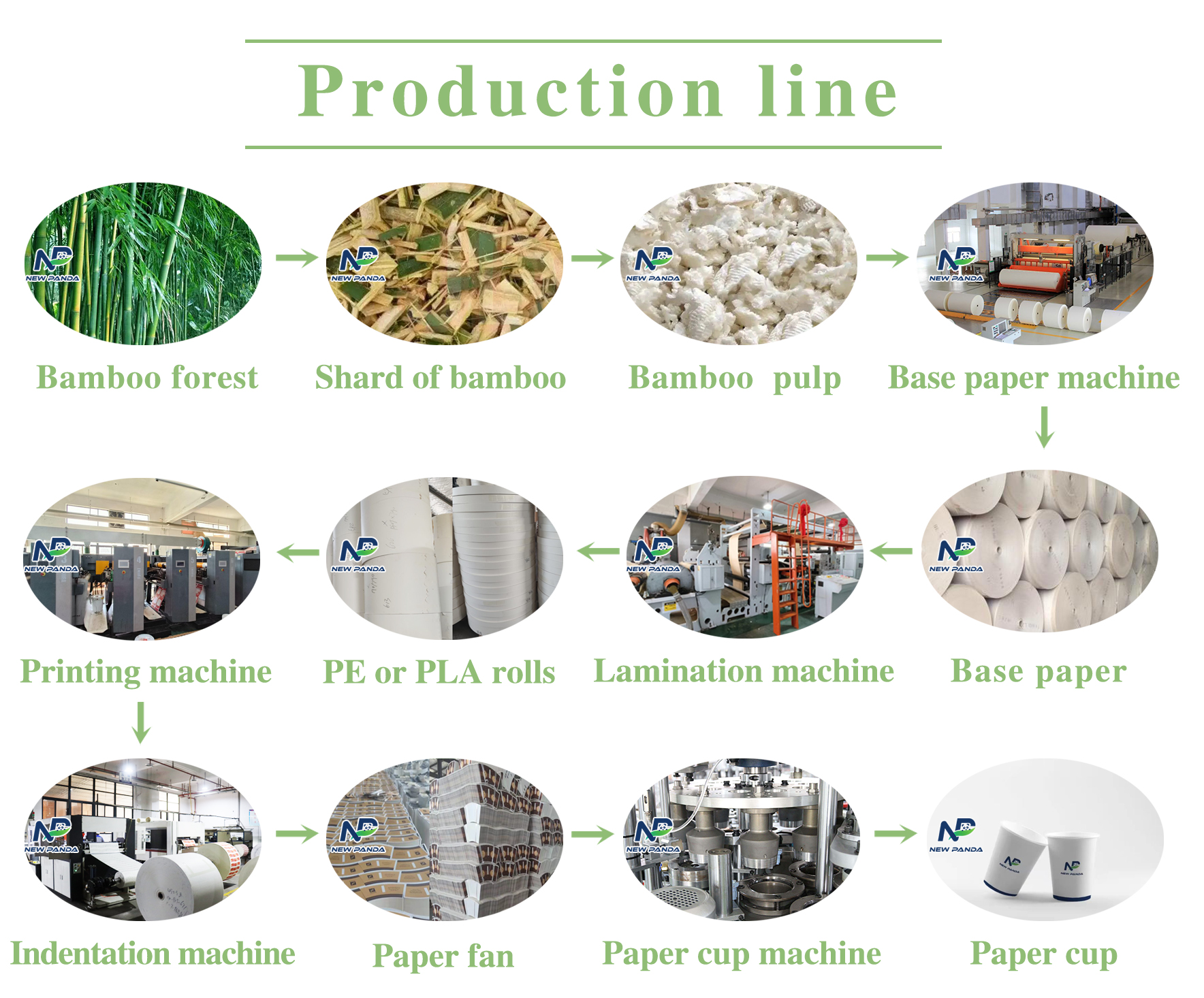 New Panda production line - bamboo forest to paper cup